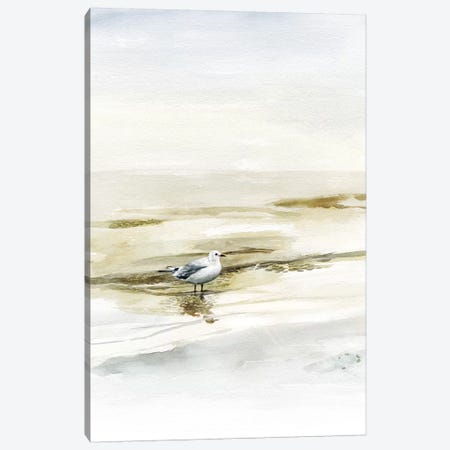 Coastal Gull I Canvas Print #VBO564} by Victoria Borges Art Print