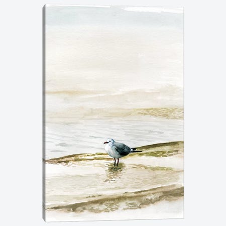 Coastal Gull II Canvas Print #VBO565} by Victoria Borges Canvas Art Print