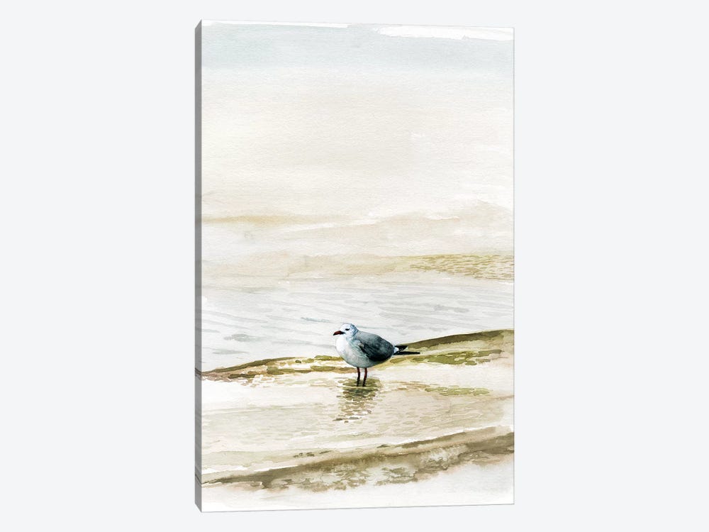 Coastal Gull II by Victoria Borges 1-piece Canvas Wall Art