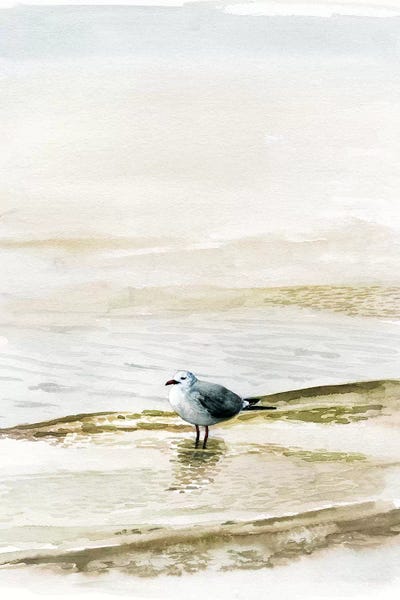 Large Coastal Art - Canvas Prints: Coastal Gull II by Victoria Borges