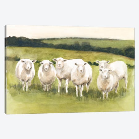 Spring Flock I Canvas Print #VBO616} by Victoria Borges Art Print