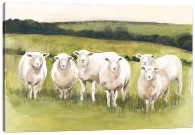 Spring Flock I Canvas Art Print - Sheep Art