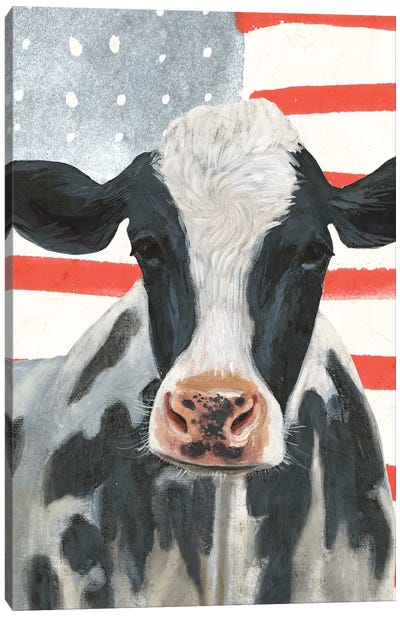 Patriotic Farm Collection B Canvas Art Print - American Décor