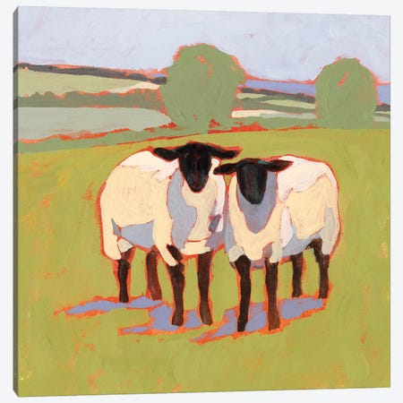 Suffolk Sheep III Canvas Print #VBO801} by Victoria Borges Canvas Art Print