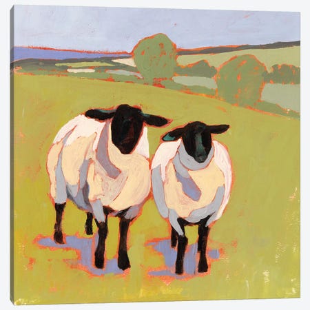 Suffolk Sheep IV Canvas Print #VBO802} by Victoria Borges Canvas Art Print