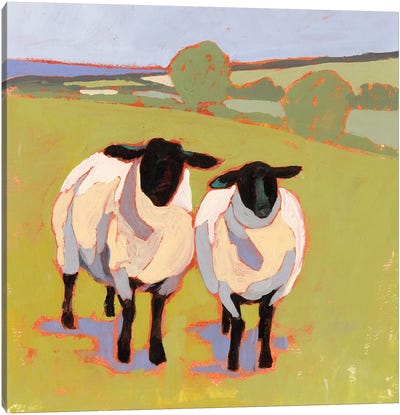 Suffolk Sheep IV Canvas Art Print - Sheep Art