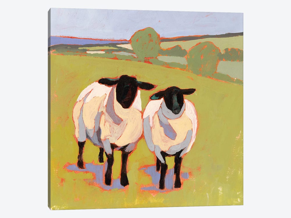 Suffolk Sheep IV by Victoria Borges 1-piece Canvas Artwork