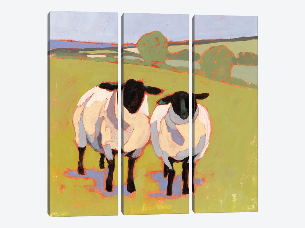 Suffolk Sheep IV by Victoria Borges 3-piece Canvas Artwork