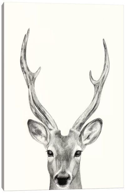 Animal Mug IV Canvas Art Print - Art for Tweens
