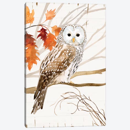 Harvest Owl I Canvas Print #VBO829} by Victoria Borges Canvas Print