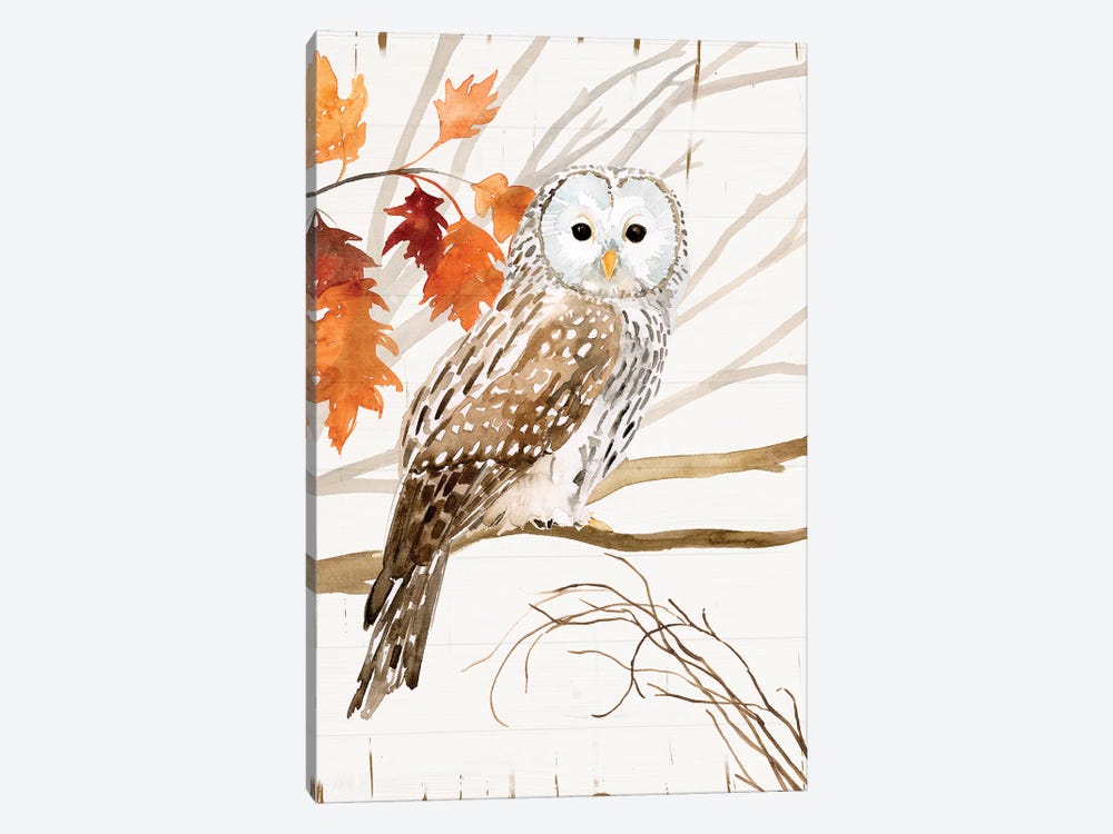 Harvest Owl I by Victoria Borges 1-piece Canvas Art Print