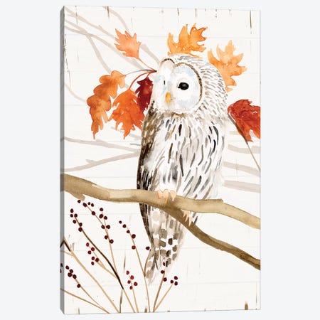 Harvest Owl II Canvas Print #VBO830} by Victoria Borges Canvas Art