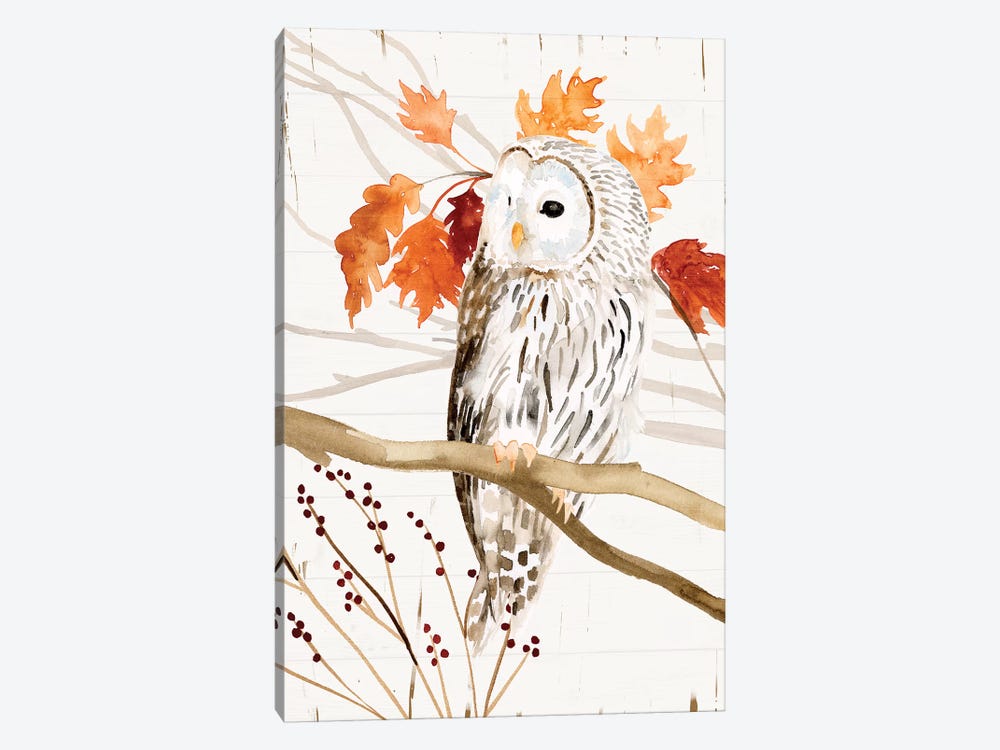 Harvest Owl II by Victoria Borges 1-piece Canvas Print