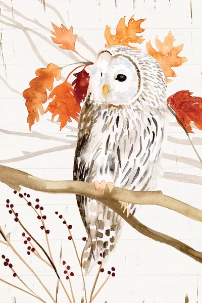Cabin & Lodge Décor: Harvest Owl II by Victoria Borges
