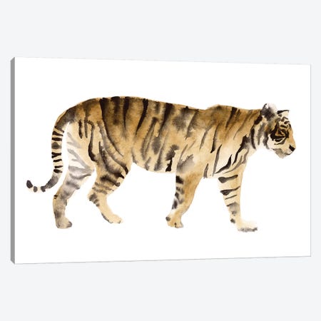 Watercolor Tiger IV Canvas Print #VBO870} by Victoria Borges Canvas Wall Art