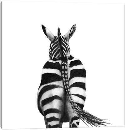Back Up Plan I Canvas Art Print - Zebra Art