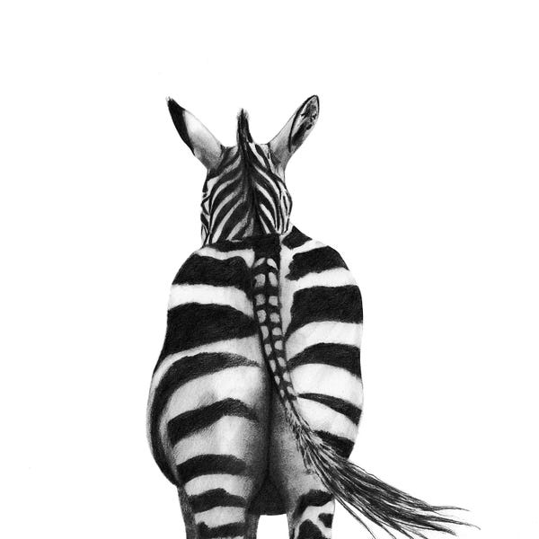 Zebras: Back Up Plan I by Victoria Borges