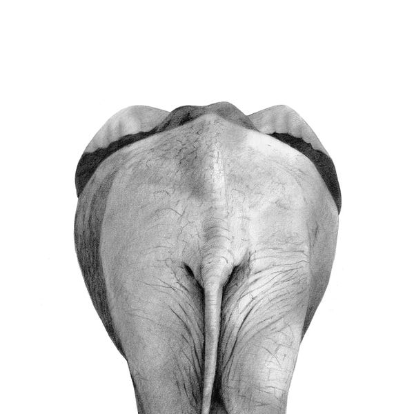 Elephants: Back Up Plan II by Victoria Borges