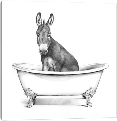 Clawfoot Critter IV Canvas Art Print - Donkey Art
