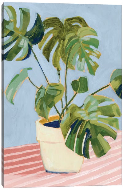 Plant on Pink II Canvas Art Print - Victoria Borges