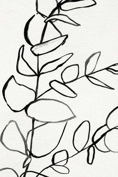 Victoria Barnes: Sprig Contour II by Victoria Barnes