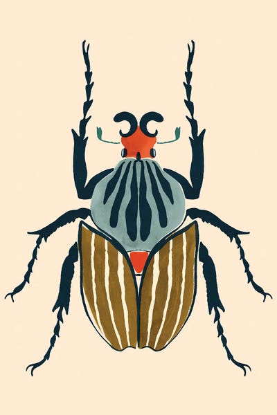 Beetle Bug I by Victoria Barnes canvas print