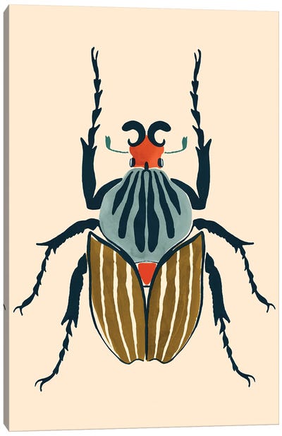 Beetle Bug I Canvas Art Print - Beetle Art