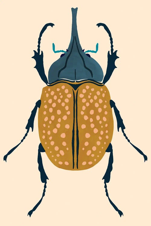 Beetle Bug II