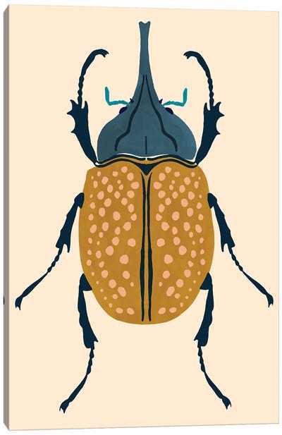 Beetle Bug II Canvas Art Print - Beetles