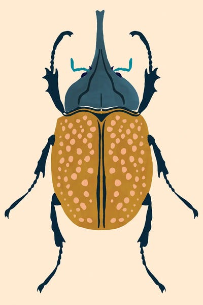 Beetles: Beetle Bug II by Victoria Barnes