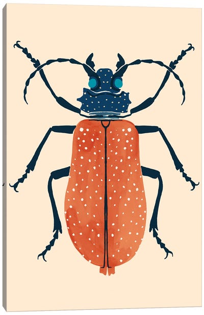Beetle Bug III Canvas Art Print - Beetle Art