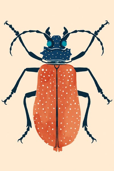 Beetles: Beetle Bug III by Victoria Barnes