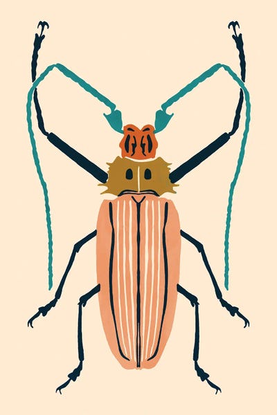 Beetle Bug IV by Victoria Barnes framed wall art