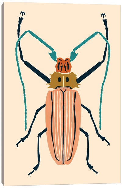 Beetle Bug IV Canvas Art Print - Beetles