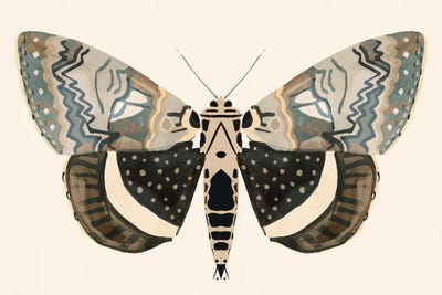 Neutral Moth I by Victoria Barnes framed wall art