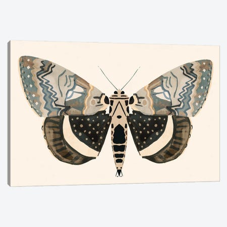 Neutral Moth I Canvas Print #VBR119} by Victoria Barnes Art Print