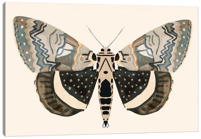 Neutral Moth I Canvas Art Print