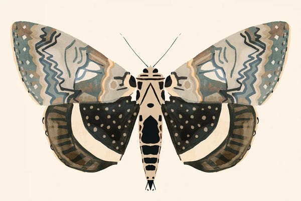 Victoria Barnes: Neutral Moth I by Victoria Barnes