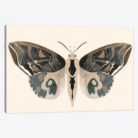 Neutral Moth II Canvas Print #VBR120} by Victoria Barnes Canvas Art