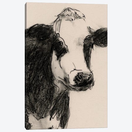 Cow Portrait Sketch I Canvas Print #VBR152} by Victoria Barnes Canvas Print