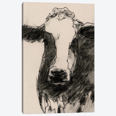 Cow Portrait Sketch II Canvas Print #VBR153} by Victoria Barnes Art Print