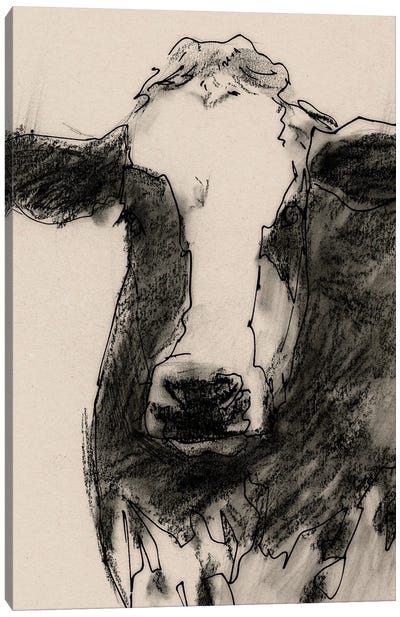 Cow Portrait Sketch II Canvas Art Print