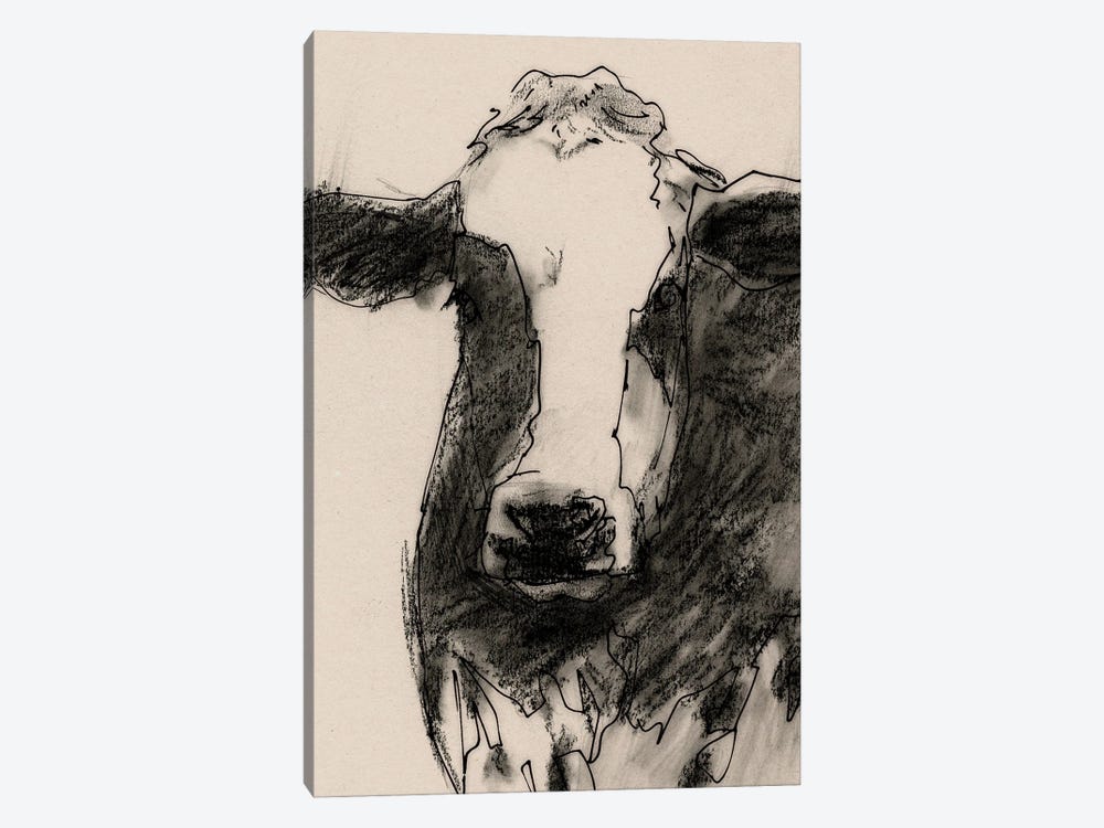 Cow Portrait Sketch II by Victoria Barnes 1-piece Canvas Art Print