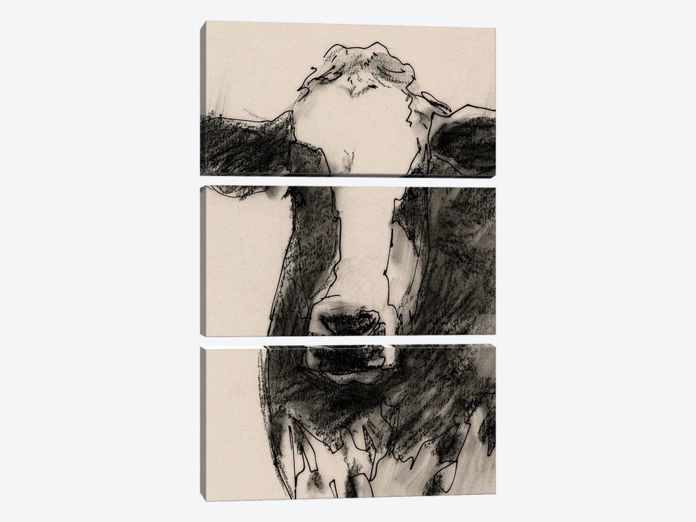 Cow Portrait Sketch II by Victoria Barnes 3-piece Canvas Print