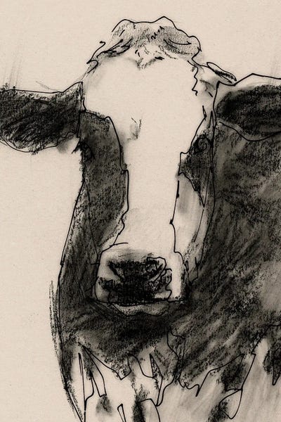 Victoria Barnes: Cow Portrait Sketch II by Victoria Barnes