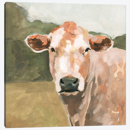 On the Pasture II Canvas Print #VBR189} by Victoria Barnes Canvas Art