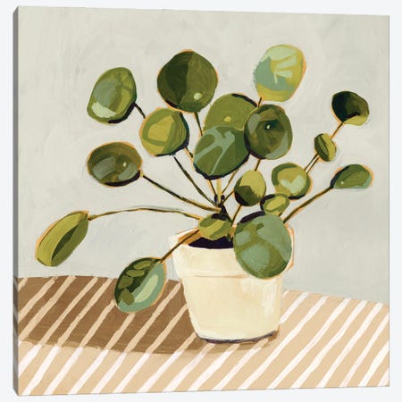 Plant on Stripes I Canvas Print #VBR196} by Victoria Barnes Canvas Artwork