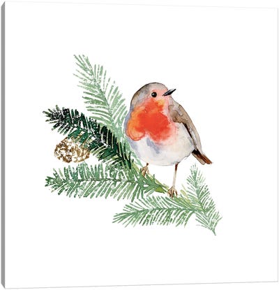 Winter Visitor I Canvas Art Print - Robin Art