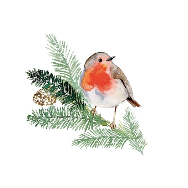 Victoria Barnes: Winter Visitor I by Victoria Barnes
