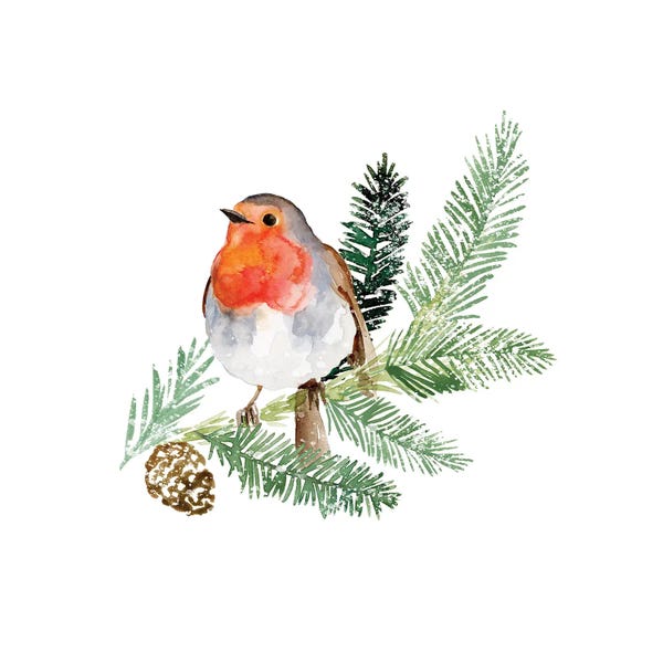 Victoria Barnes: Winter Visitor II by Victoria Barnes